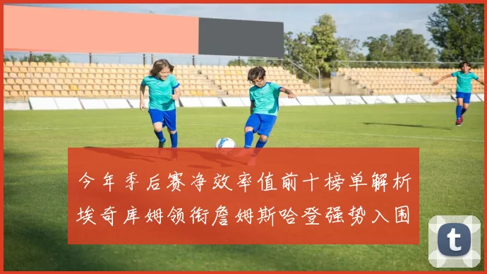 今年季后赛净效率值前十榜单解析埃奇库姆领衔詹姆斯哈登强势入围